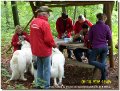 Bild: SH103429