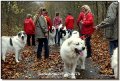 Bild: DSCF7071