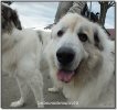 Bild: DSCF7088