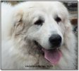 Bild: DSCF7129