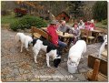 Bild: PA270059