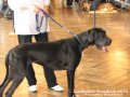 Bild: IMG 4537