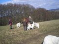 Bild: P3200280