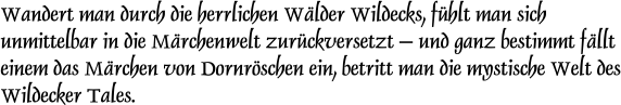 Wandert man durch die herrlichen Wälder Wildecks, fühlt man sich unmittelbar in die Märchenwelt zurückversetzt...